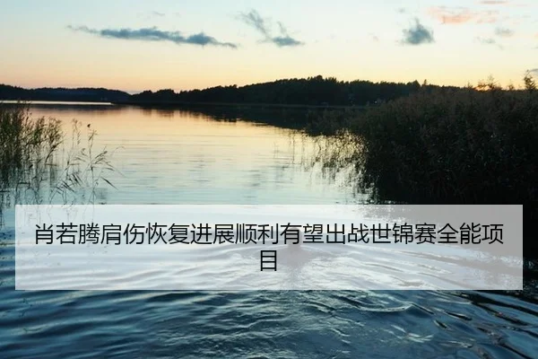 xiao-ruo-teng-jian-shang-hui-fu-jin-zhan-shun-li-you-wang-chu-zhan-shi-jin-sai-quan-neng-xiang-mu-2-658.jpg