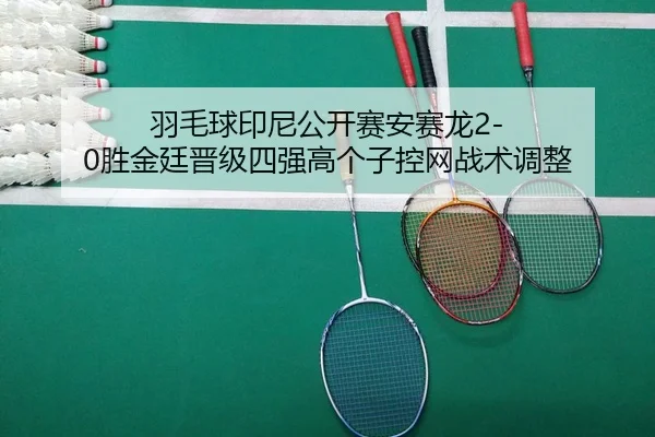 yu-mao-qiu-yin-ni-gong-kai-sai-an-sai-long-sheng-jin-ting-jin-ji-si-qiang-gao-ge-zi-kong-wang-zhan-shu-tiao-zheng-2-593.jpg